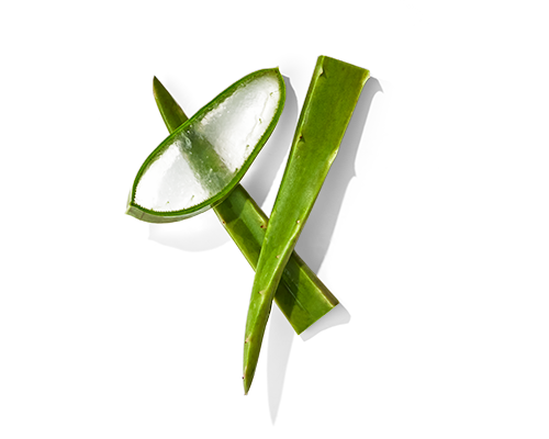 Aloe Juice