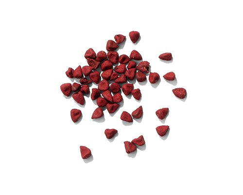 Annatto Oil