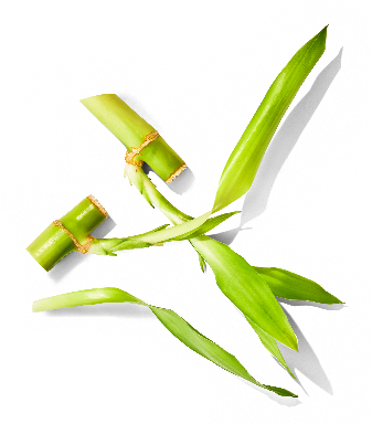 Azelaic Acid