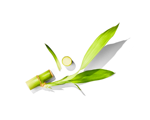 Bamboo Extract