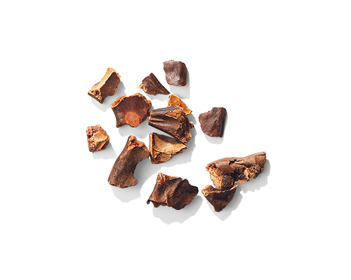 Carob Seed Extract