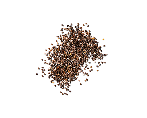 Chia Seed Extract