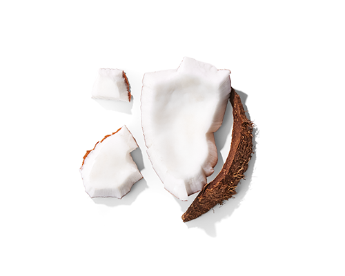 Coconut Extract