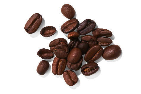 Coffee Seed Extract