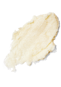 Cupuacu Butter