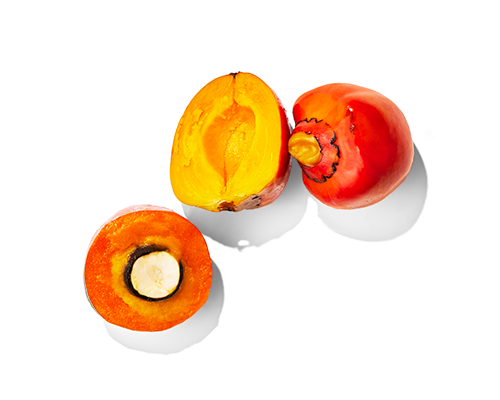 Palm Fruit Extract