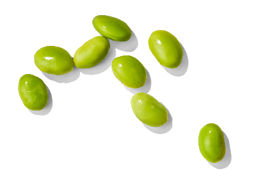Soybean Extract